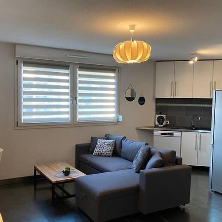 F2 Au Calme, Proche Gare, Center Parc, Sainte Croix Apartamento Sarrebourg Exterior foto