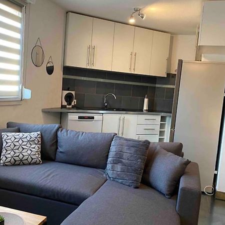 F2 Au Calme, Proche Gare, Center Parc, Sainte Croix Apartamento Sarrebourg Exterior foto