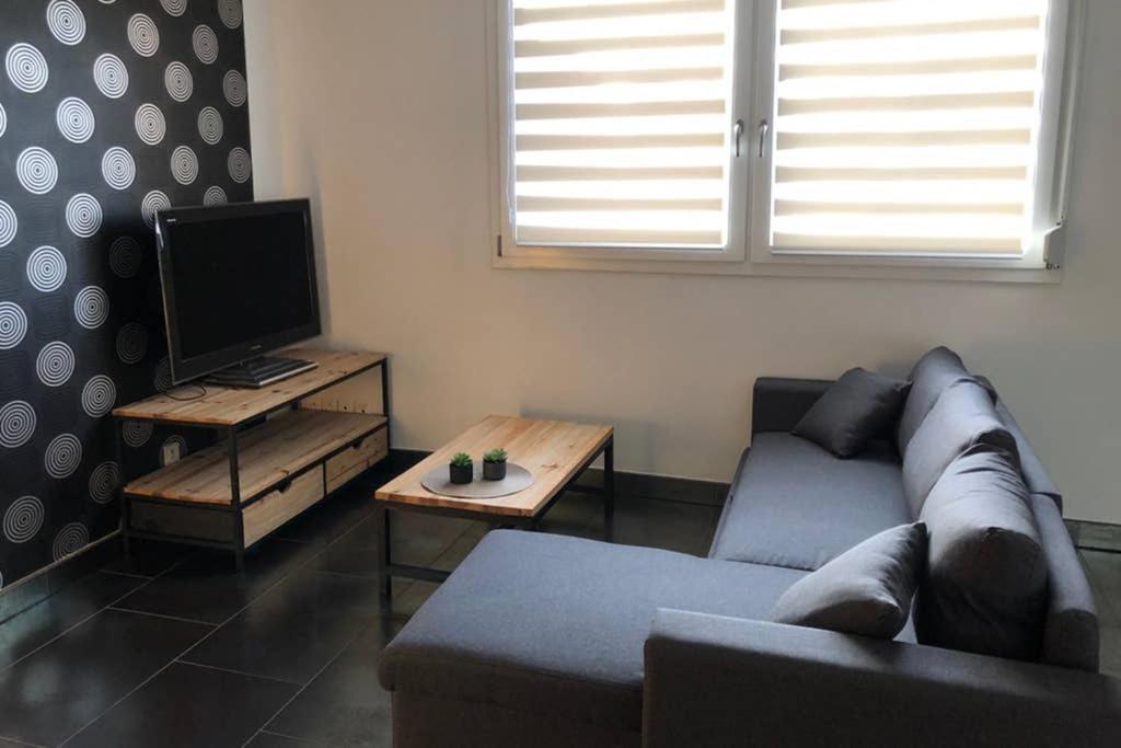 F2 Au Calme, Proche Gare, Center Parc, Sainte Croix Apartamento Sarrebourg Exterior foto