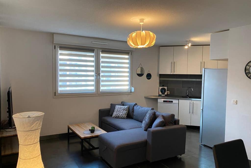 F2 Au Calme, Proche Gare, Center Parc, Sainte Croix Apartamento Sarrebourg Exterior foto